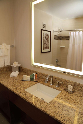 Bathroom 4, Hilton Kansas City Airport, Kansas City