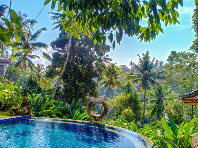 Swimming Pool 5
