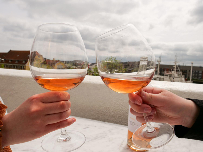 Food & Drinks 4, Hotel Villa Gulle, Nyborg