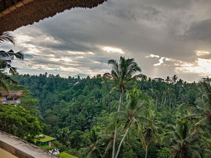 Scenery 13