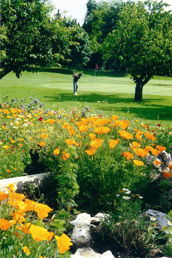 Others 3, GOLF CLUB D'UZES, Gard