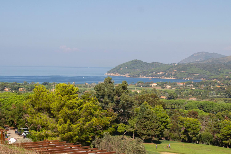 Scenery 11