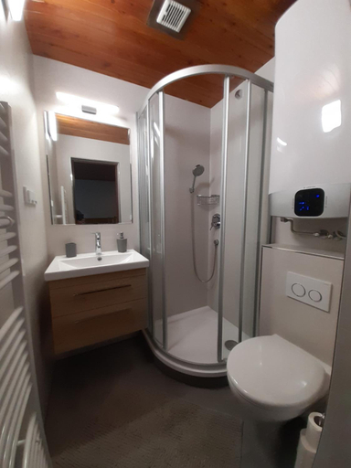 Bathroom, Apartmany Lebedin, Liberec