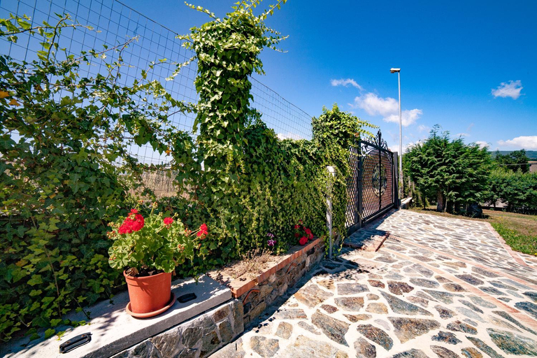 Others 4, Casa sull'albero Bocchineri, Cosenza