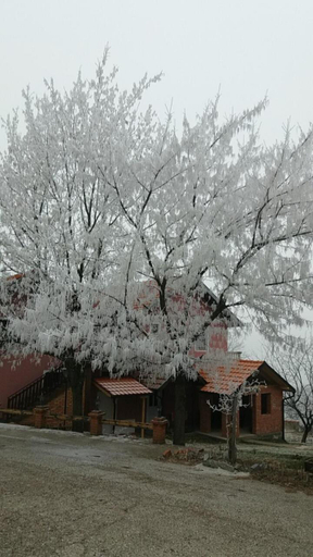 Others 5, LAZAREV KONAK, Loznica