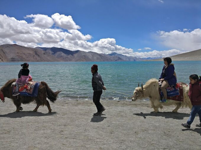 Others 4, Martsemik Camping Spangmik, Leh