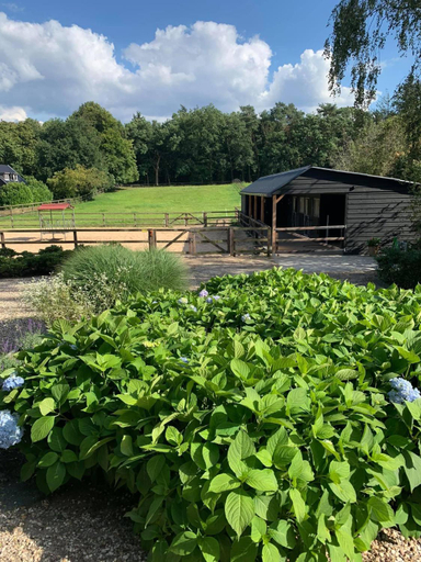 Others 5, Bed and Breakfast De Paalberg, Ede
