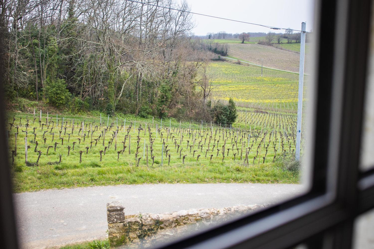 Others 2, Chateau Haut-Clarise, Gironde