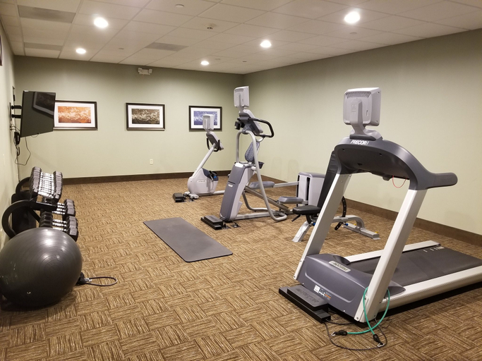 Others 3, Staybridge Suites TOLEDO - ROSSFORD - PERRYSBURG, Wood