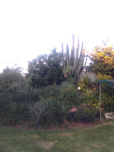 Others 4, Garden Palace Guesthouse, Gert Sibande