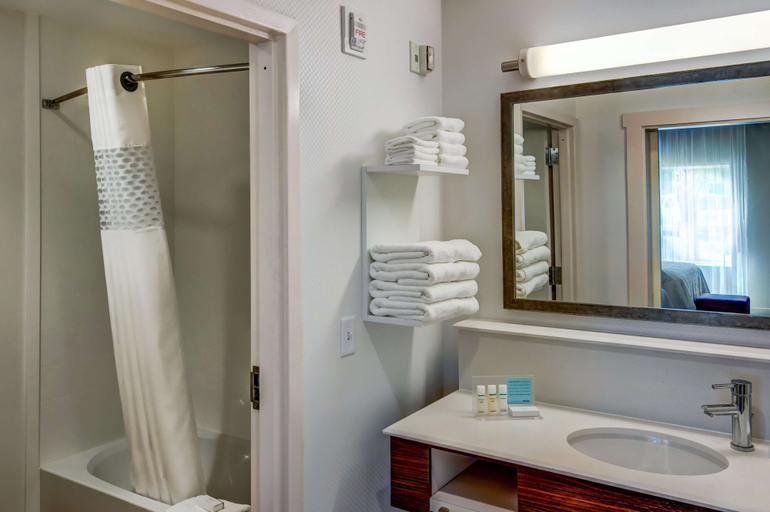 Bathroom 5, Hampton Inn by Hilton Plant City, Hillsborough