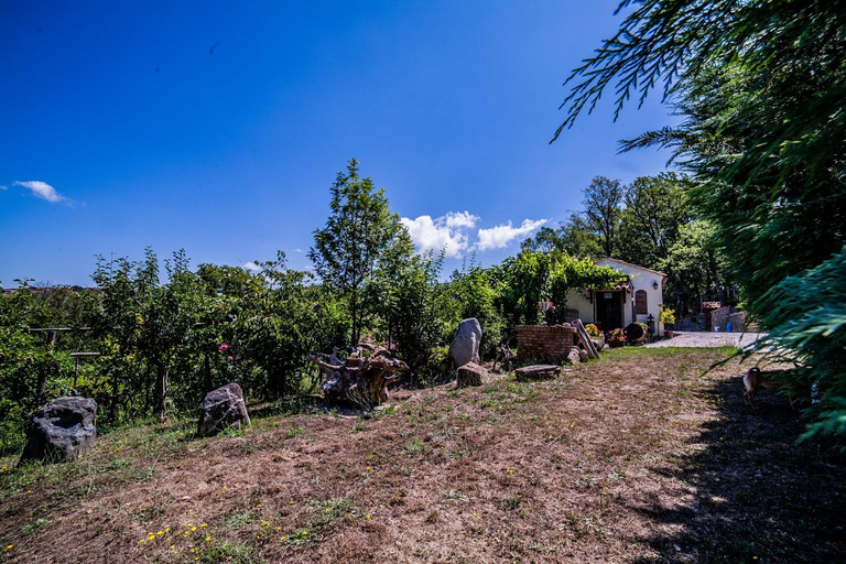 Others 3, Casa sull'albero Bocchineri, Cosenza