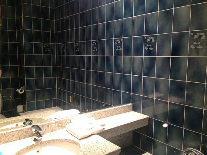 Bathroom, Auberge d'Imsthal, Bas-Rhin