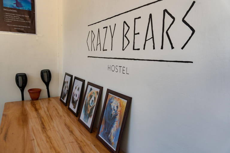 Public Area 3, Crazy Bears Hostel, Moalboal