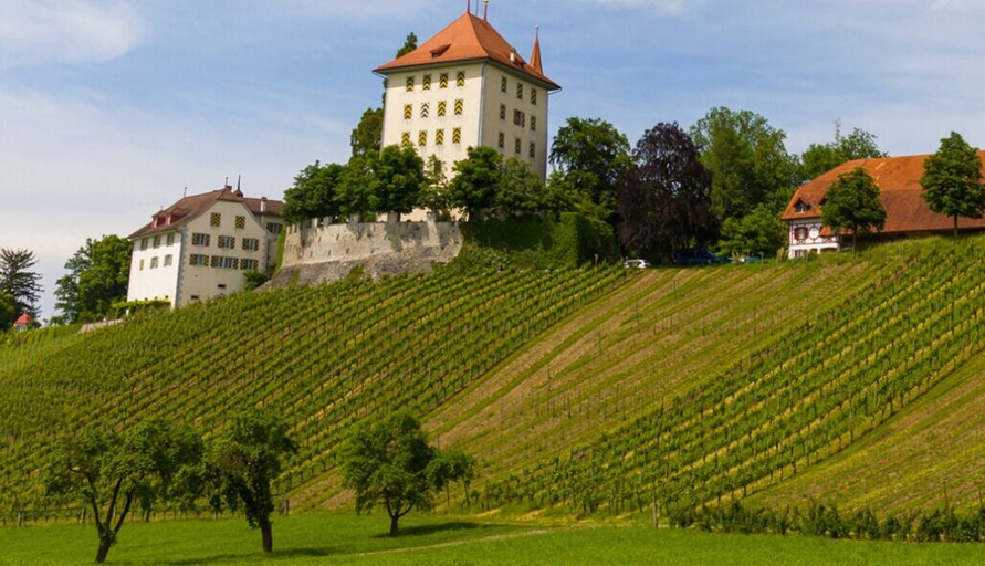 Exterior & Views, Hotel Restaurant Sternen, Hochdorf