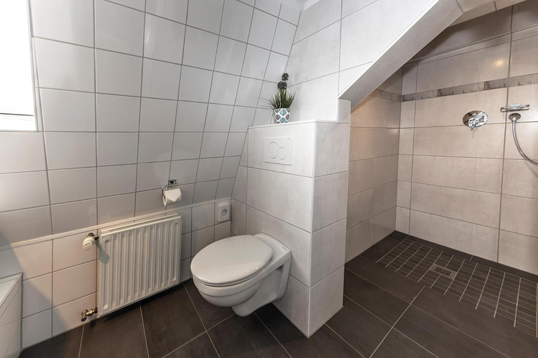 Bathroom 2, Haus Mittelrhein, Mayen-Koblenz