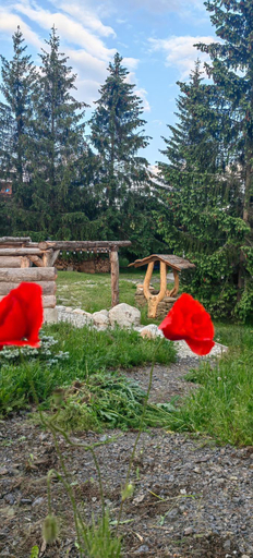 Others 4, Mlyn Tatry Resort, Poprad