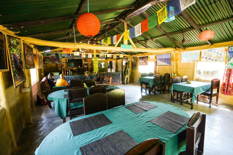 Food & Drinks 2, Wild Planet Eco Retreat, Bheri