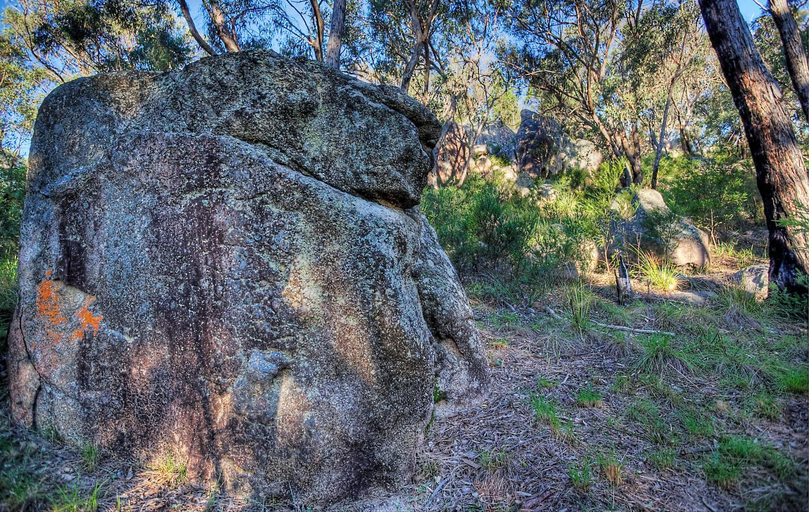 Others 5, 31 The Rocks, Stanthorpe