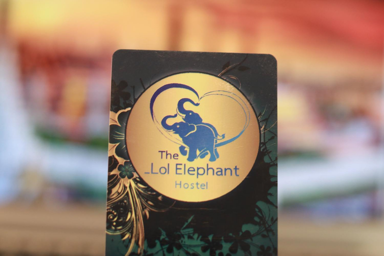 Food & Drinks 4, The LOL Elephant Hostel, Phra Nakhon