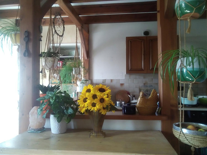 Others 4, Les Tournesols, Vendée