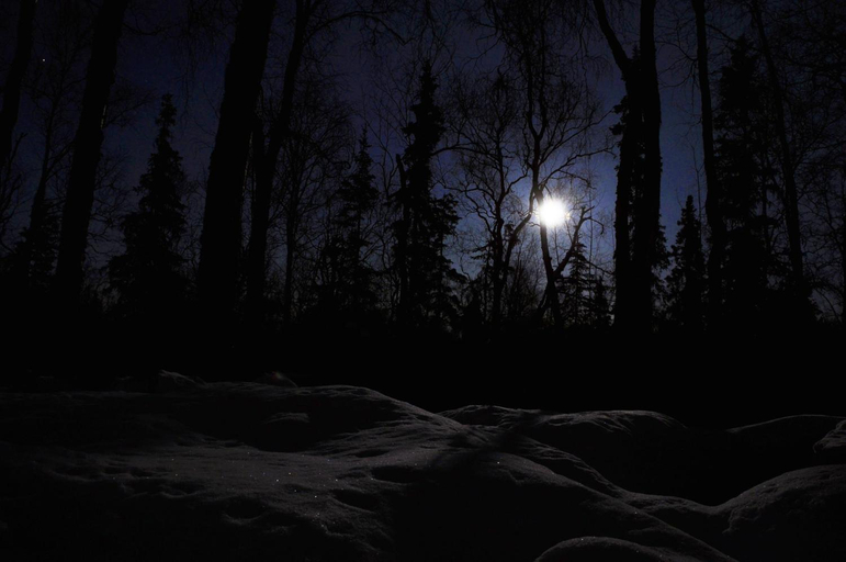 Others 5, Talkeetna Chalet, Matanuska-Susitna
