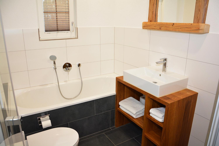 Shower 3, Ribelhof, Rheintal
