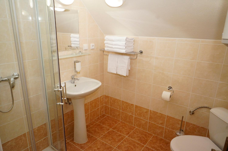 Bathroom 3, Penzion Cista, Trutnov