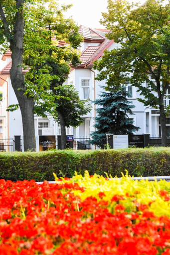 Others 4, Willa Home, Toruń