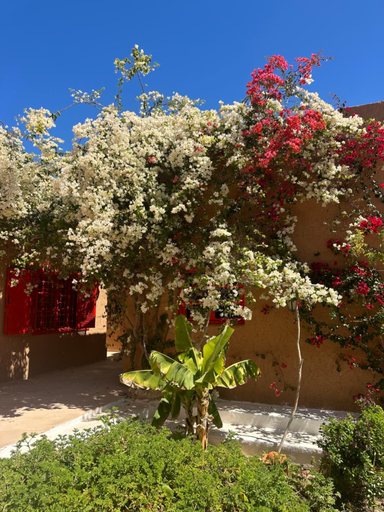 Exterior & Views 1, Dar Tawarta Guest House Dakhla