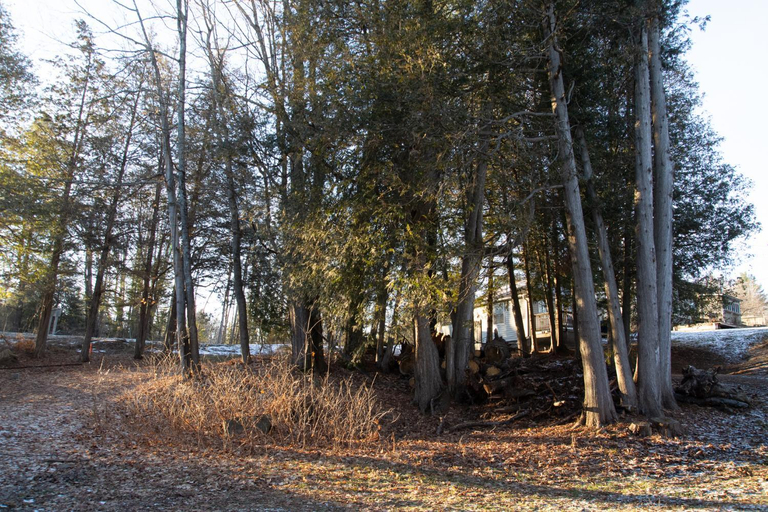 Others 5, Myers Cave Resort, Frontenac