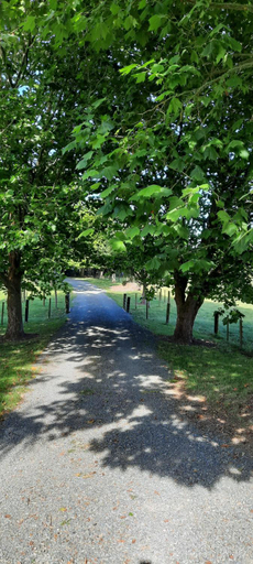 Others 2, Tui Glade Bed and Breakfast, Waipa