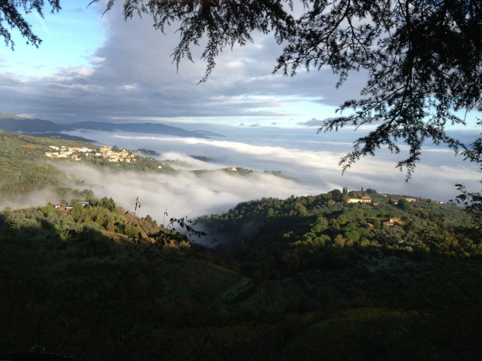 Others 2, Il ghiro, Arezzo