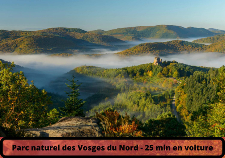 Others 3, Duplex - Le Cosy - Hyper Centre, Bas-Rhin