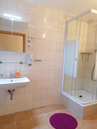 Bathroom 2, Lowen Unterkunft Braunschweig, Braunschweig