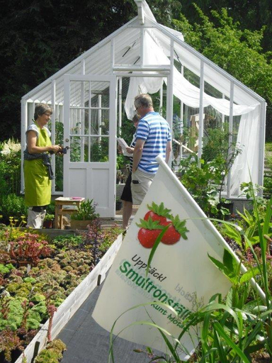 Others 5, Perenner pa bakgarden, Motala