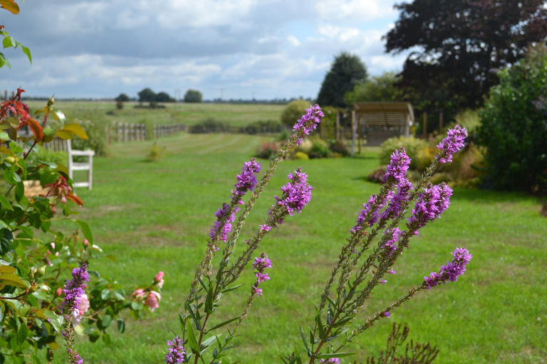 Others 5, Two Hoots Bed and Breakfast, Northamptonshire