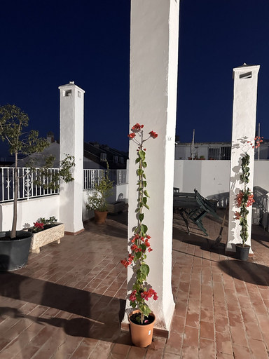 Others 5, Hostal San Felipe, Málaga