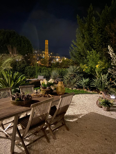 Others 5, Un palmier a sa fenetre, Alpes-Maritimes
