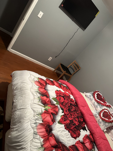 Room B Near EWR Airport Penn Station, Essex