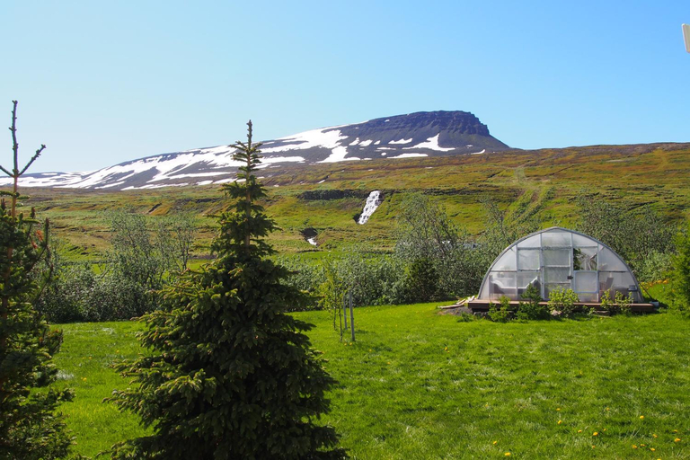 Others 5, Granastaðir Guesthouse, Ljósavatnshreppur
