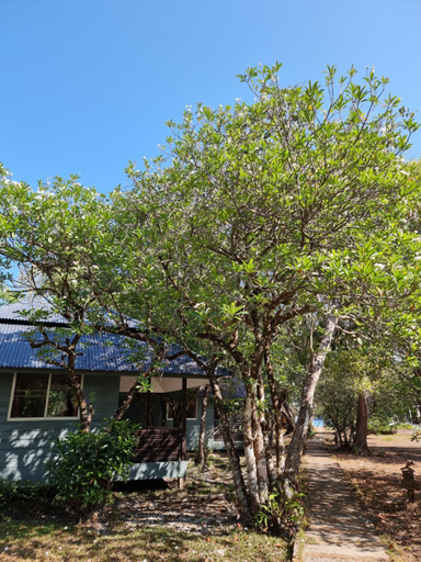 Exterior & Views 1, Phayam Cottage Resort, Muang Ranong