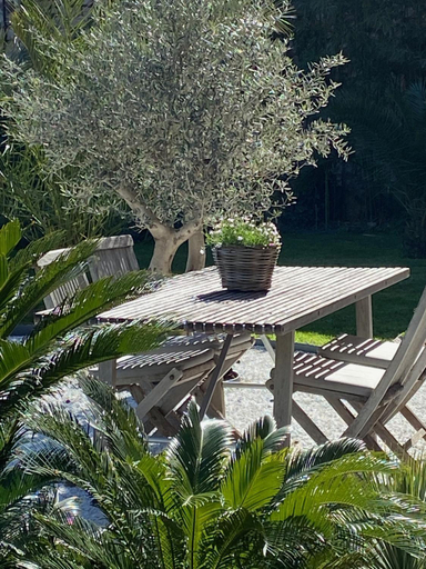 Others 5, Un palmier a sa fenetre, Alpes-Maritimes