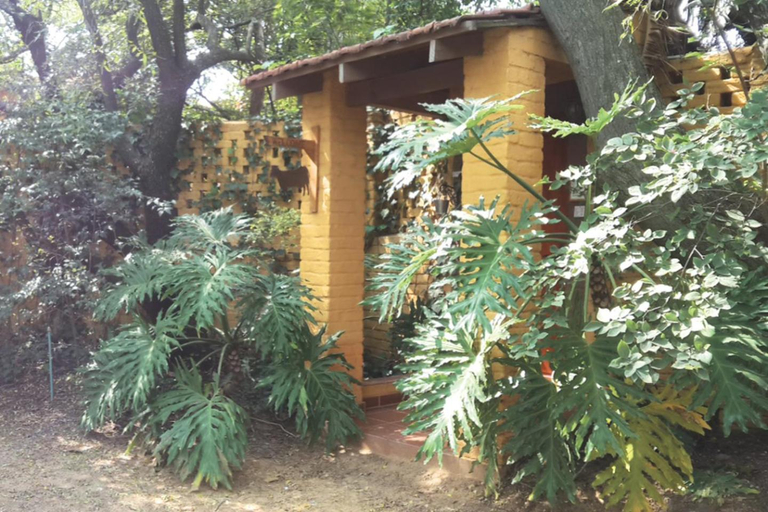 Others 4, Roosters Nest BnB, City of Johannesburg