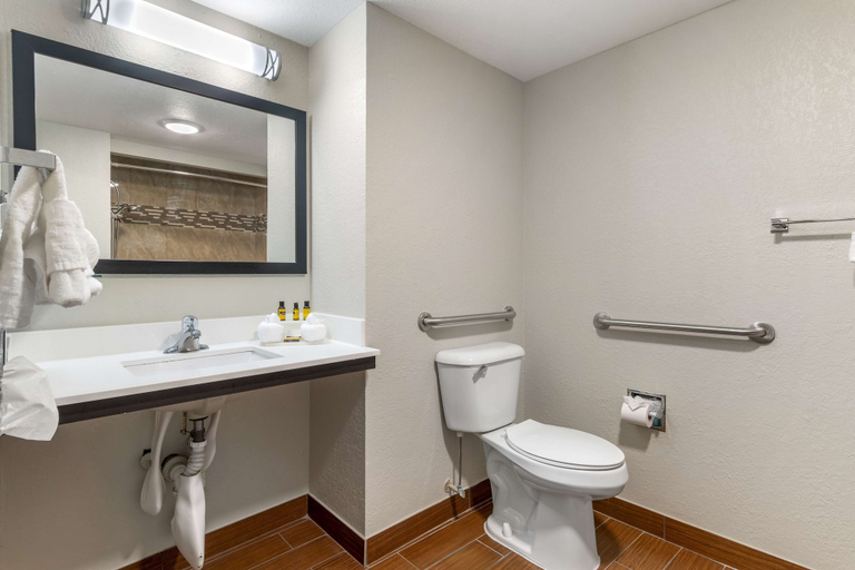 Bathroom 4, Best Western Plus Fairburn Atlanta Southwest, Fulton