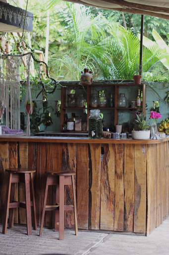Food & Drinks 5, Jungla Bacalar, Othón P. Blanco