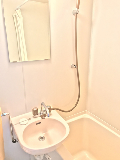 Bathroom 5, Ichimiya Green Hotel, Ichinomiya/Owari-ichinomiya