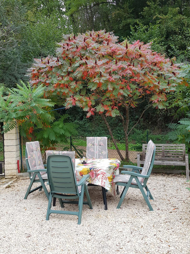 Others 3, La Perle De Frayssinet-Le-Gelat - Chambre d'Hotes - B&B, Lot