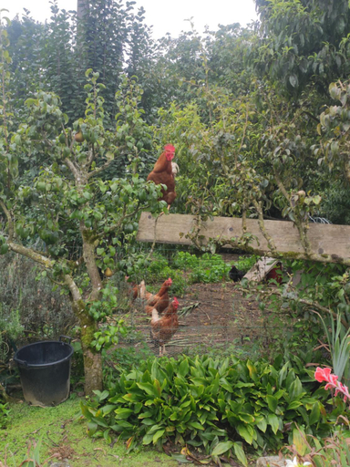 Others 2, bienvenue chez Joelle et Andre au 207, Ille-et-Vilaine