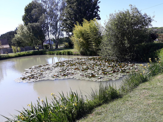 Others 4, Les ROSEAUX A la Campagne au centre des chateaux de la Loire, Loir-et-Cher